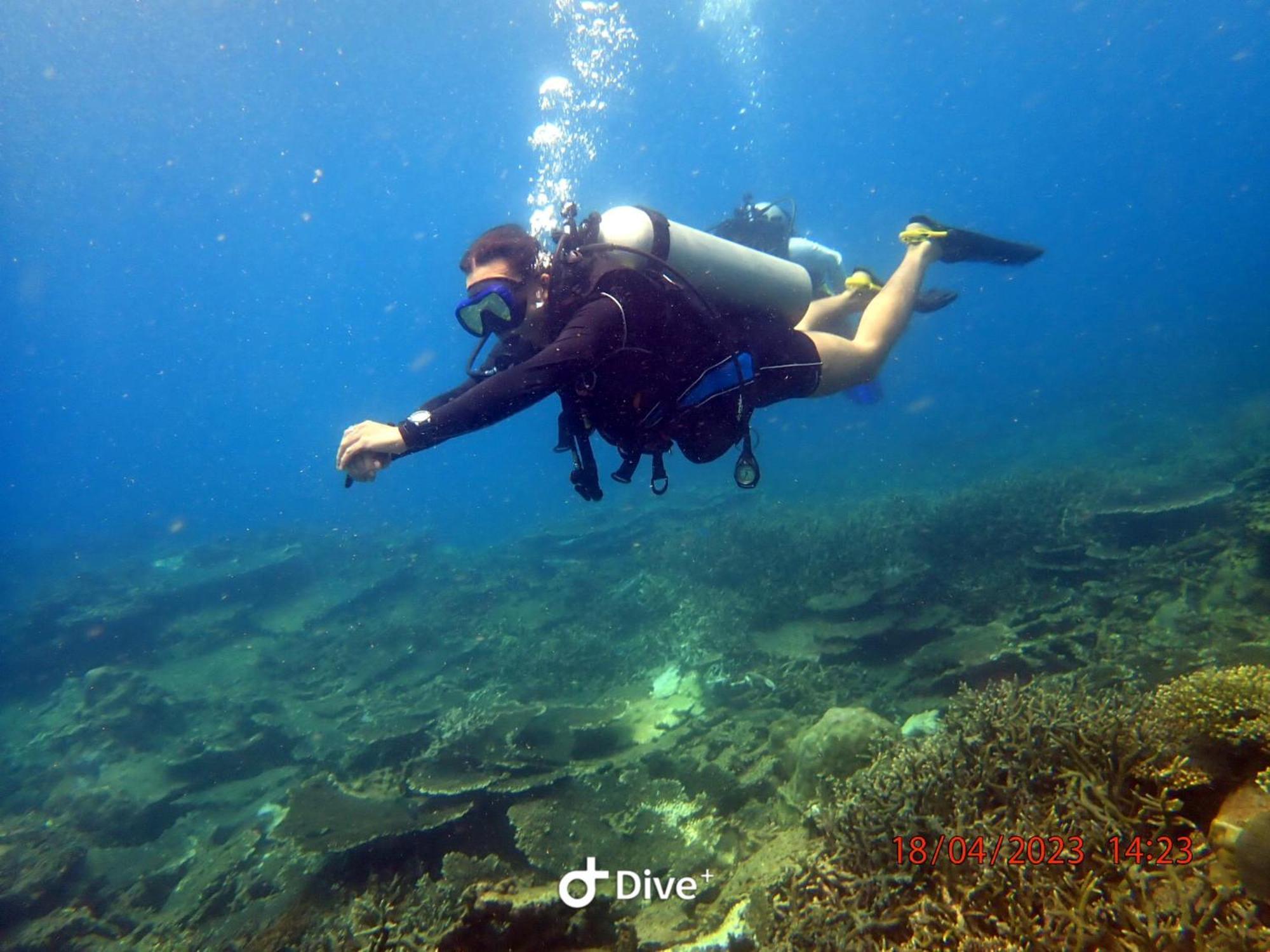 Con Dao Backpacker - Loco Camping Chi Khu Co Ong 외부 사진