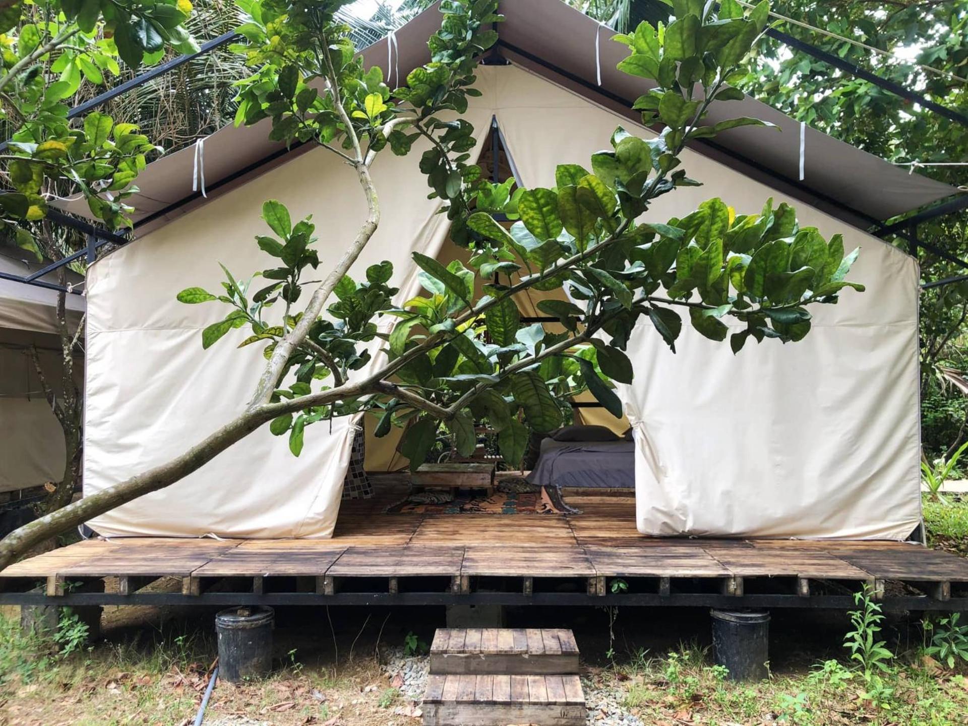 Con Dao Backpacker - Loco Camping Chi Khu Co Ong 외부 사진
