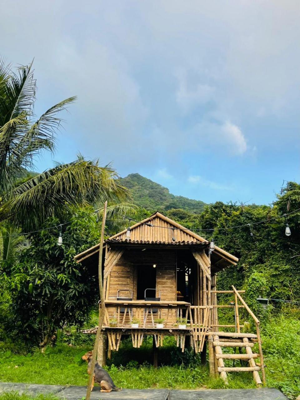 Con Dao Backpacker - Loco Camping Chi Khu Co Ong 외부 사진
